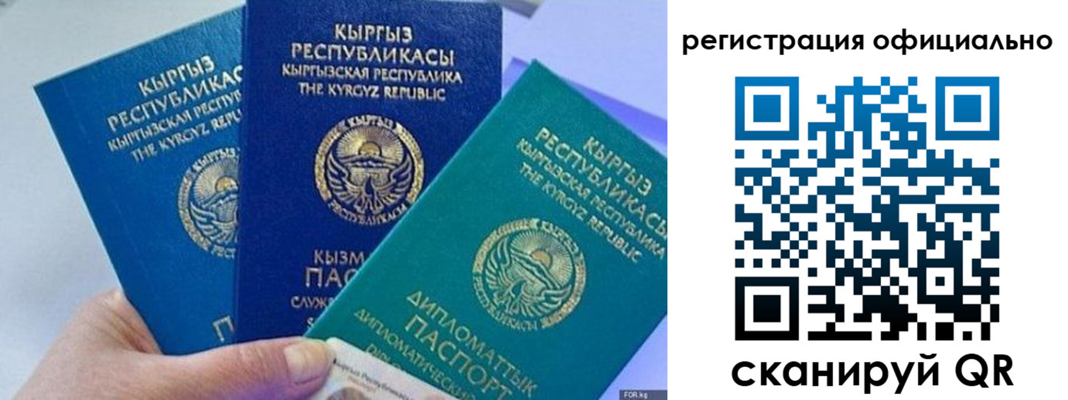 прописка в Курчатове